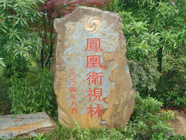 鳳凰衛(wèi)視林