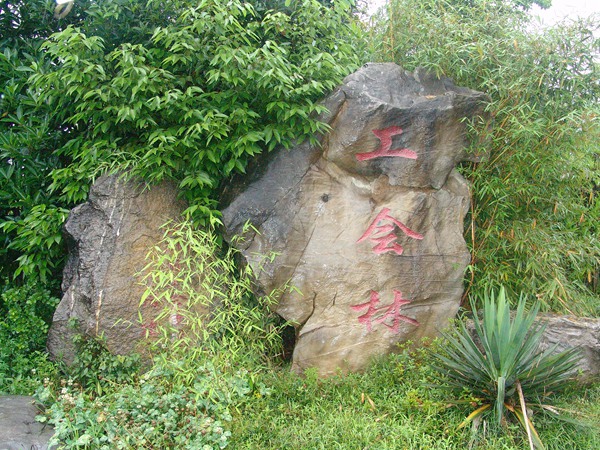 工會(huì)林