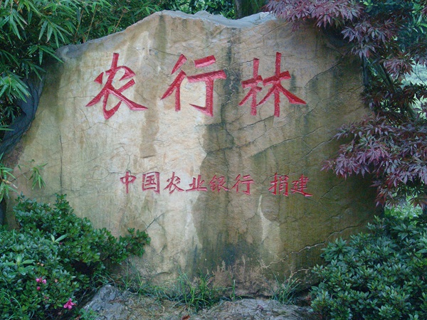 農(nóng)行林