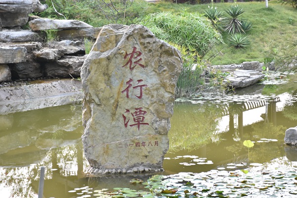 農(nóng)行潭