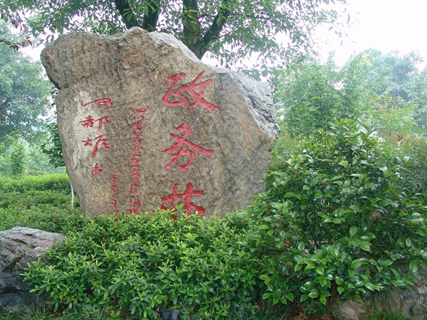 政務(wù)林