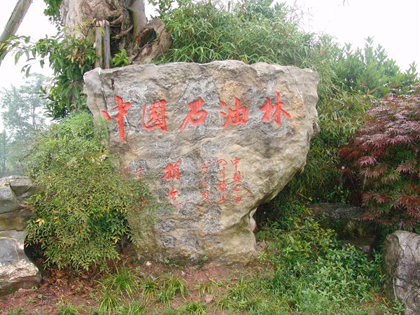 中國(guó)石油林