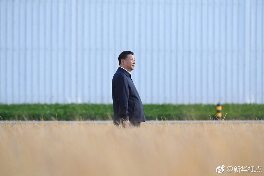 2018年9月25日，中共中央總書記、國家主席、中央軍委主席習(xí)近平抵達(dá)黑龍江省開始考察。這是習(xí)近平在黑龍江農(nóng)墾建三江管理局了解糧食生產(chǎn)和收獲情況。 新華社記者 燕雁 攝