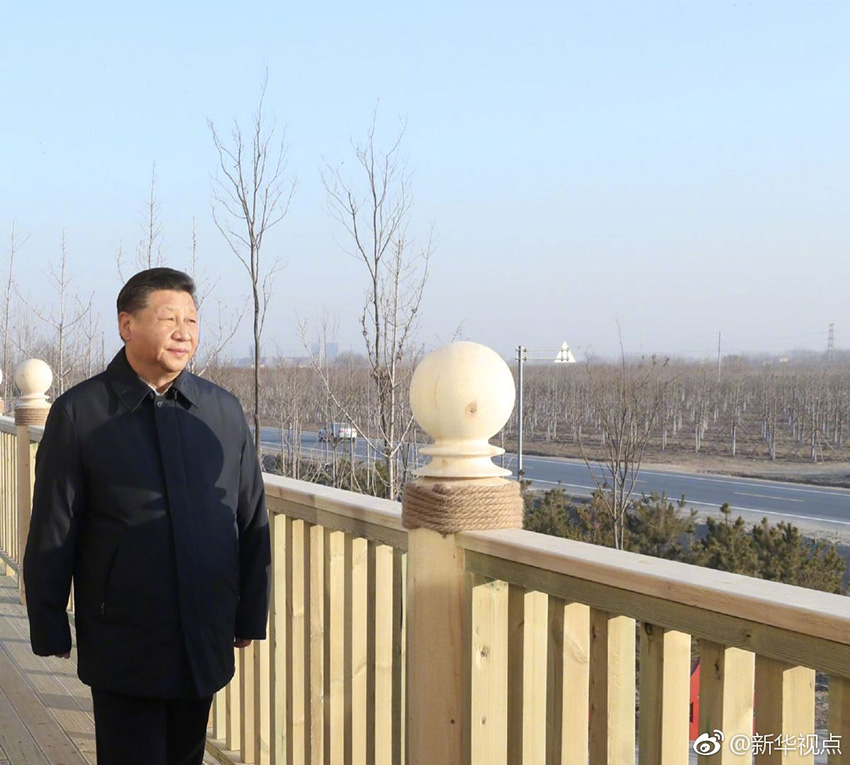 1月16日，中共中央總書記、國家主席、中央軍委主席習(xí)近平在河北雄安新區(qū)考察調(diào)研。在雄安新區(qū)“千年秀林”大清河片林一區(qū)造林區(qū)域，習(xí)近平登上秀林驛站二層平臺遠(yuǎn)眺林區(qū)全貌。 新華社記者 鞠鵬 攝