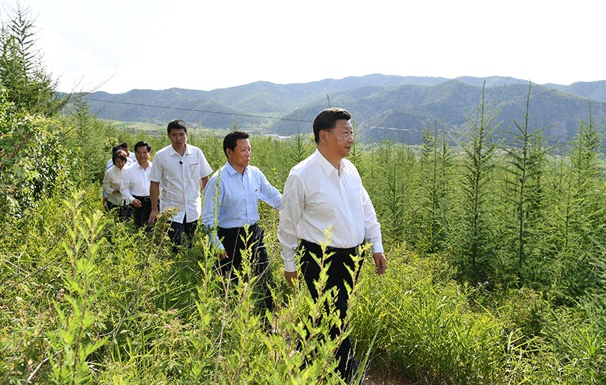 7月15日，中共中央總書記、國家主席、中央軍委主席習(xí)近平赴內(nèi)蒙古自治區(qū)考察調(diào)研。這是習(xí)近平在赤峰市喀喇沁旗馬鞍山林場了解生態(tài)文明建設(shè)情況。 新華社記者 謝環(huán)馳 攝