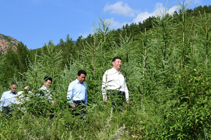 7月15日，中共中央總書記、國(guó)家主席、中央軍委主席習(xí)近平赴內(nèi)蒙古自治區(qū)考察調(diào)研。這是習(xí)近平在赤峰市喀喇沁旗馬鞍山林場(chǎng)了解生態(tài)文明建設(shè)情況。 新華社記者 謝環(huán)馳 攝