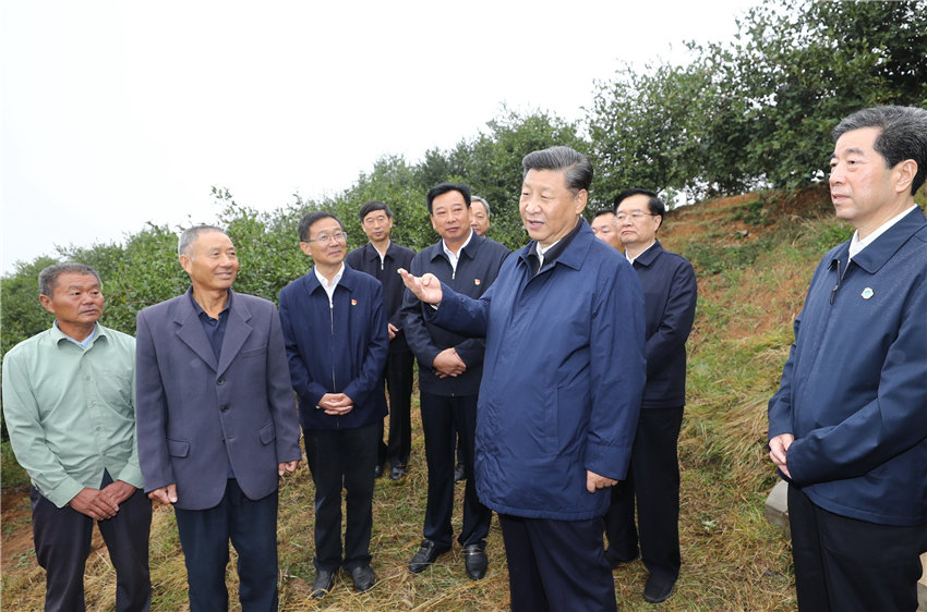 9月17日上午，正在河南考察調(diào)研的中共中央總書記、國家主席、中央軍委主席習(xí)近平來到光山縣司馬光油茶園，察看當(dāng)?shù)禺a(chǎn)業(yè)脫貧工作成效。 新華社記者 鞠鵬 攝