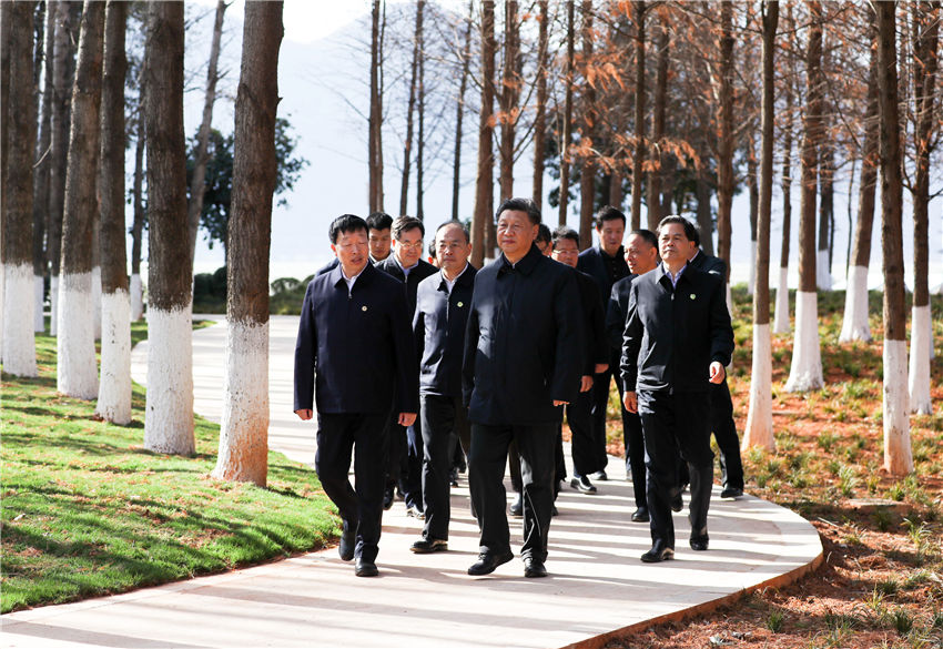 1月19日至21日，中共中央總書(shū)記、國(guó)家主席、中央軍委主席習(xí)近平來(lái)到雲(yún)南，看望慰問(wèn)各族干部群眾，向全國(guó)人民致以新春祝福。這是20日下午，習(xí)近平在昆明滇池星海半島生態(tài)濕地考察調(diào)研。新華社記者 鞠鵬 攝