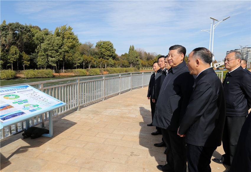1月19日至21日，中共中央總書記、國家主席、中央軍委主席習(xí)近平來到雲(yún)南，看望慰問各族干部群眾，向全國人民致以新春祝福。這是20日下午，習(xí)近平在昆明滇池星海半島生態(tài)濕地考察調(diào)研。新華社記者 鞠鵬 攝