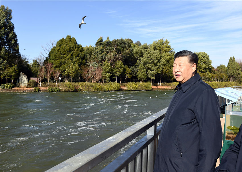 1月20日，正在雲(yún)南考察的中共中央總書記、國(guó)家主席、中央軍委主席習(xí)近平來到昆明，前往滇池星海半島生態(tài)濕地，察看滇池保護(hù)治理情況。新華社記者 謝環(huán)馳 攝