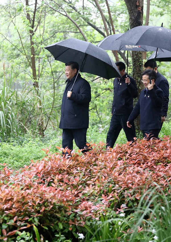 3月31日，中共中央總書(shū)記、國(guó)家主席、中央軍委主席習(xí)近平在杭州考察。這是習(xí)近平在西溪國(guó)家濕地公園就西溪濕地保護(hù)利用情況進(jìn)行考察調(diào)研。 新華社記者 鞠鵬 攝