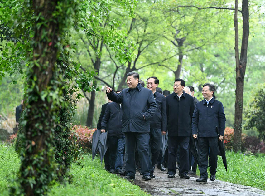 3月31日，中共中央總書記、國家主席、中央軍委主席習(xí)近平在杭州考察。這是習(xí)近平在西溪國家濕地公園就西溪濕地保護利用情況進行考察調(diào)研。 新華社記者 燕雁 攝