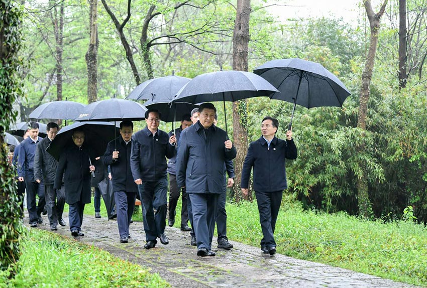 3月31日，中共中央總書記、國家主席、中央軍委主席習(xí)近平在杭州考察。這是習(xí)近平在西溪國家濕地公園就西溪濕地保護(hù)利用情況進(jìn)行考察調(diào)研。 新華社記者 燕雁 攝