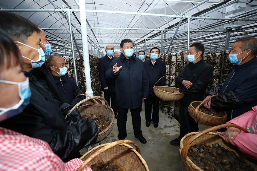 4月20日，中共中央總書記、國家主席、中央軍委主席習(xí)近平在陝西考察調(diào)研。這是習(xí)近平在商洛市柞水縣小嶺鎮(zhèn)金米村了解脫貧攻堅工作情況。 新華社記者 鞠鵬 攝