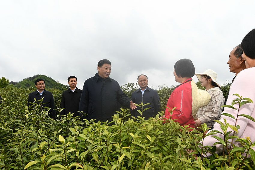 習(xí)近平總書記21日來到陝西省安康市平利縣老縣鎮(zhèn)，在錦屏社區(qū)、鎮(zhèn)衛(wèi)生院、中心小學(xué)和茶園考察當(dāng)?shù)孛撠毠?jiān)等情況。（文字記者：張曉鬆 攝影記者：鞠鵬、謝環(huán)馳、燕雁、翟健嵐）