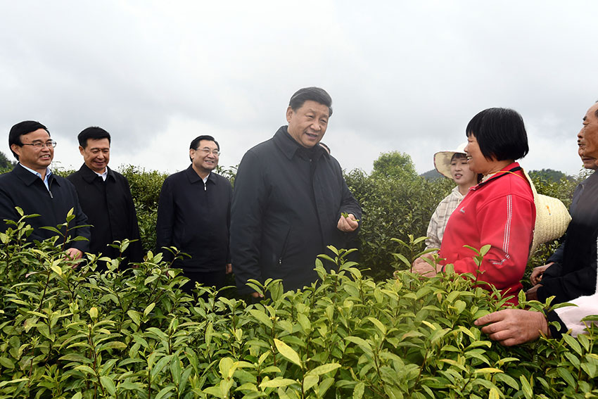 4月20日至23日，中共中央總書記、國(guó)家主席、中央軍委主席習(xí)近平在陝西考察。這是4月21日，習(xí)近平在安康市平利縣老縣鎮(zhèn)蔣家坪村女媧鳳凰茶業(yè)現(xiàn)代示范園區(qū)，同茶農(nóng)們親切交談。 新華社記者 謝環(huán)馳 攝