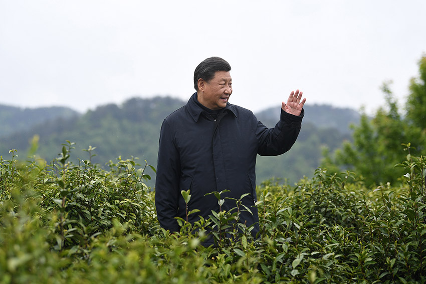 習(xí)近平總書記21日來到陝西省安康市平利縣老縣鎮(zhèn)，在錦屏社區(qū)、鎮(zhèn)衛(wèi)生院、中心小學(xué)和茶園考察當(dāng)?shù)孛撠毠缘惹闆r。（文字記者：張曉鬆 攝影記者：鞠鵬、謝環(huán)馳、燕雁、翟健嵐）