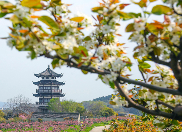 蘇州推進(jìn)黨群服務(wù)中心標(biāo)準(zhǔn)化建設(shè) 服務(wù)做到群眾心坎上