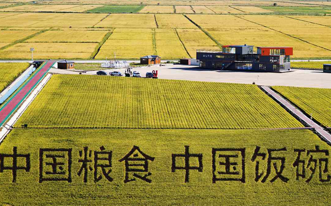 喜迎二十大｜黑龍江：龍騰虎躍全面振興開(kāi)新局