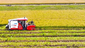 學(xué)習(xí)·知行丨在總書記心中 “糧食”二字重千鈞10月16日是世界糧食日。糧食安全關(guān)系人類永續(xù)發(fā)展和前途命運(yùn)，是構(gòu)建人類命運(yùn)共同體的重要基礎(chǔ)。在習(xí)近平總書記心中，“糧食”二字始終重若千鈞。