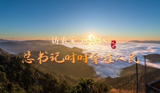 訪(fǎng)農(nóng)家 進(jìn)社區(qū) 總書(shū)記時(shí)時(shí)牽掛人民